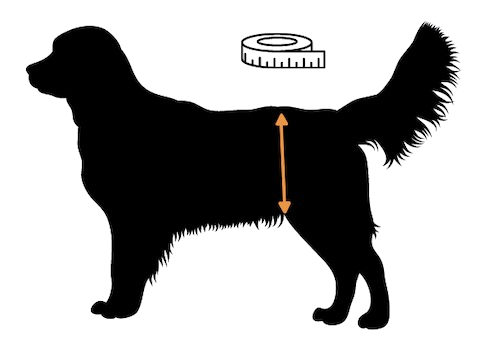 Dog Measurement