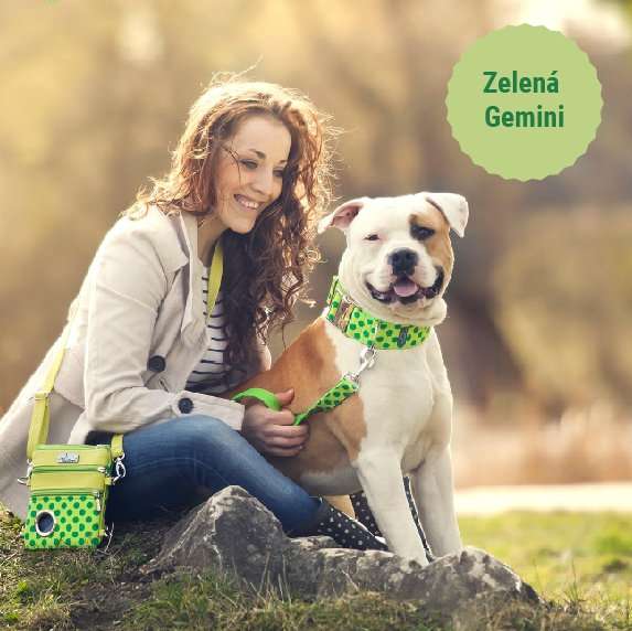 kolekce-text-gemini_1